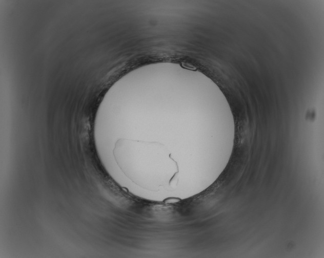 X0000088880279200707061417