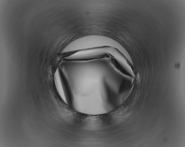 X0000088880280200707061417