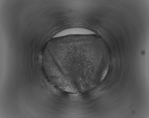 X0000088880281200707061417