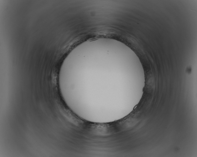 X0000088880282200707061417