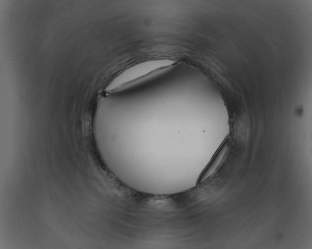 X0000088880283200707061417