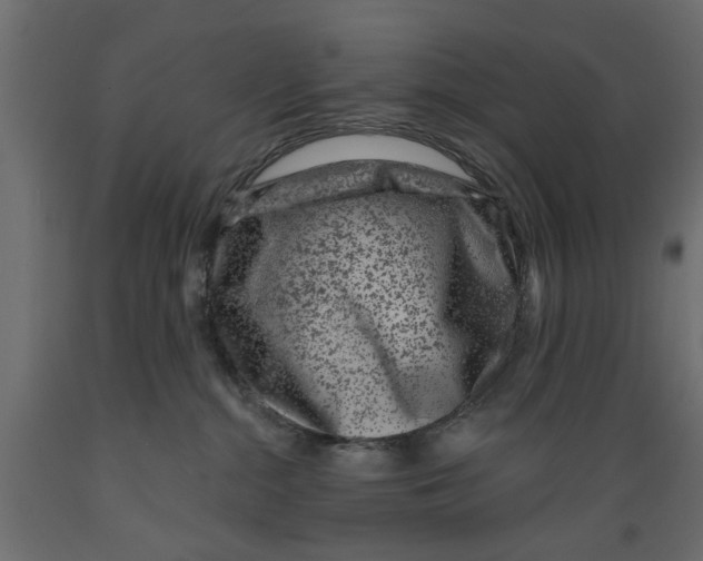 X0000088880284200707061417