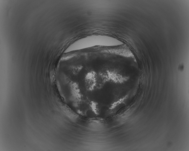 X0000088880285200707061417