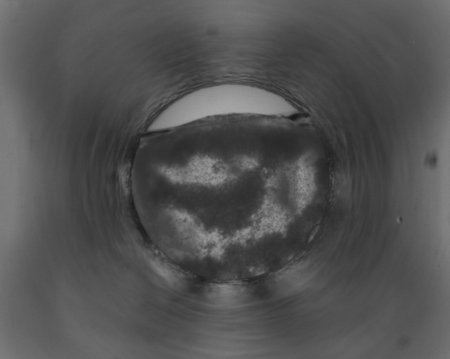 X0000088880286200707061417