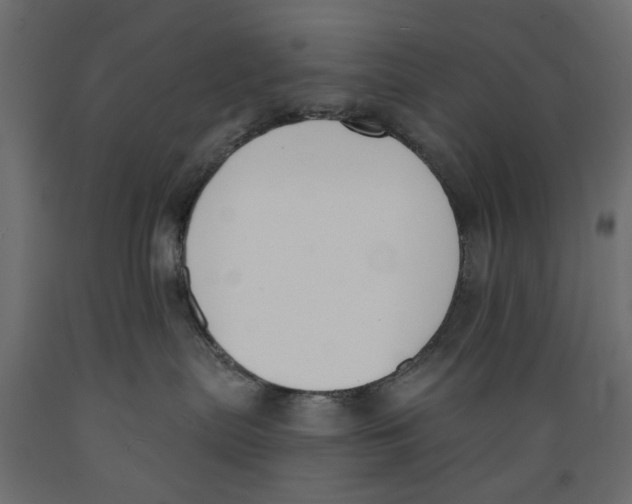 X0000088880287200707061417