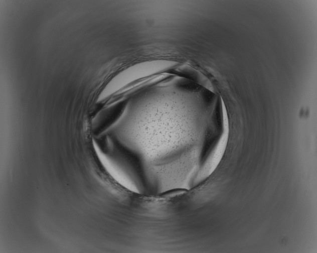 X0000088880288200707061417