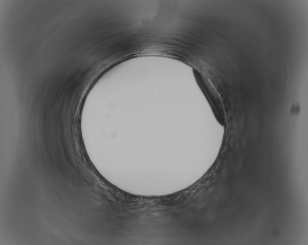 X0000088880289200707061416