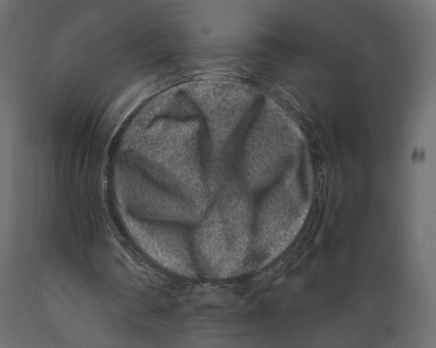 X0000088880290200707061416