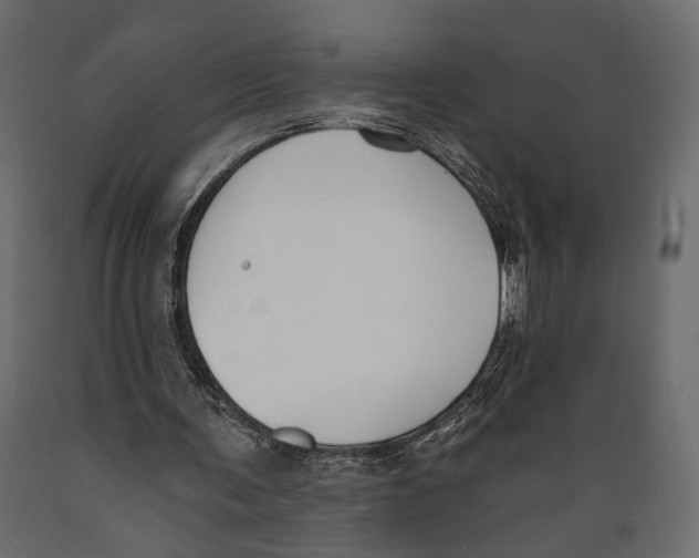 X0000088880291200707061416