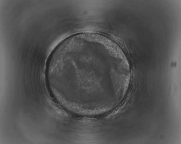 X0000088880292200707061416