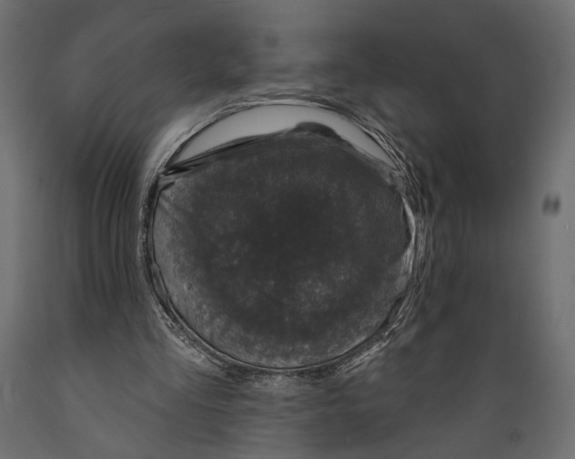 X0000088880293200707061416