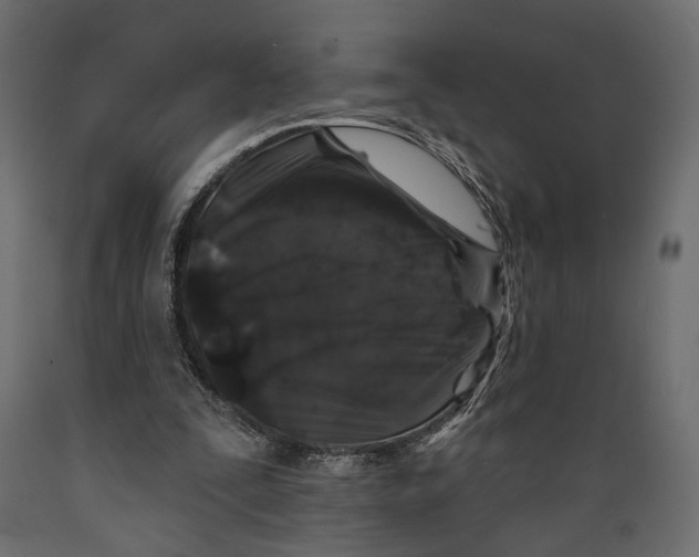 X0000088880295200707061416