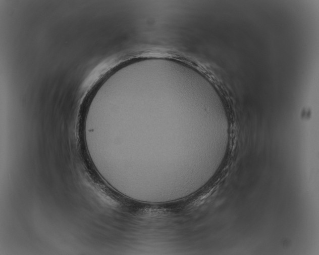 X0000088880296200707061416
