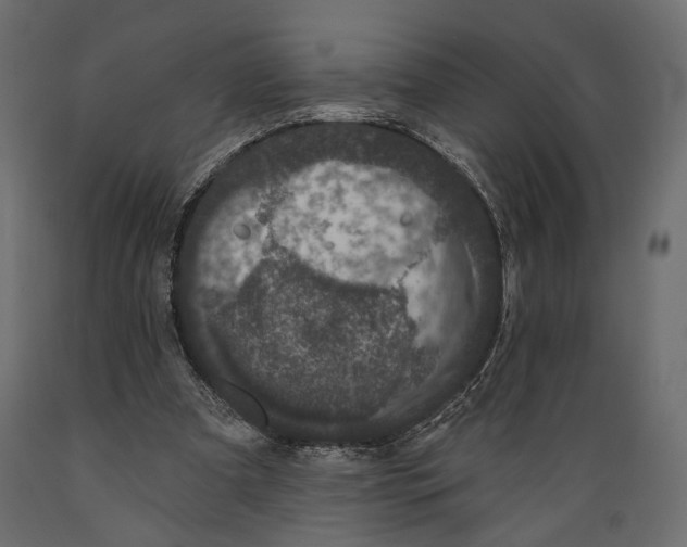 X0000088880297200707061416