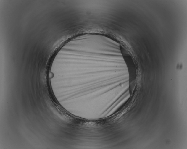 X0000088880298200707061416