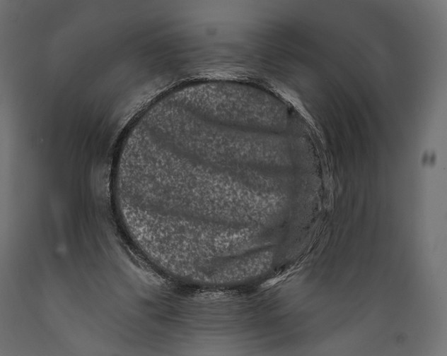 X0000088880299200707061416