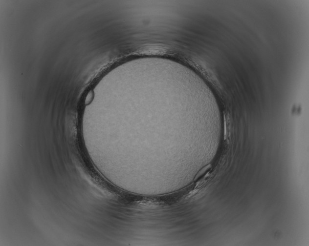 X0000088880300200707061416