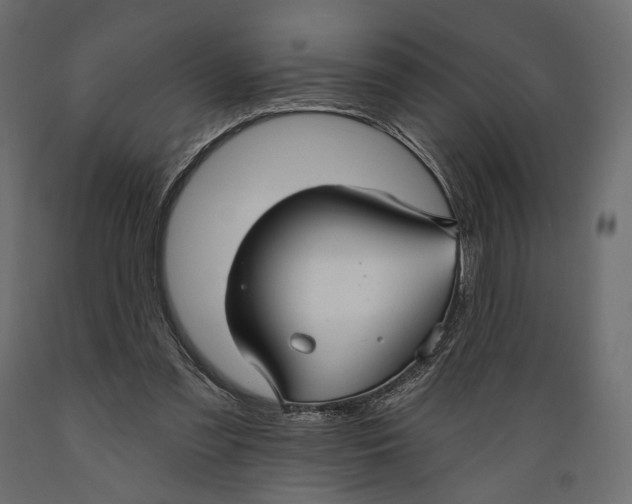 X0000088880301200707061416