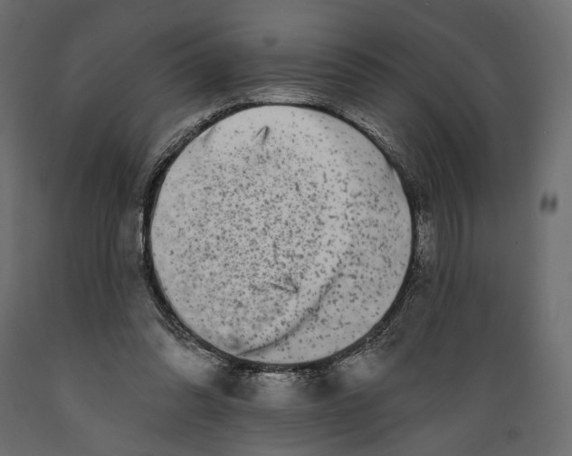 X0000088880302200707061416