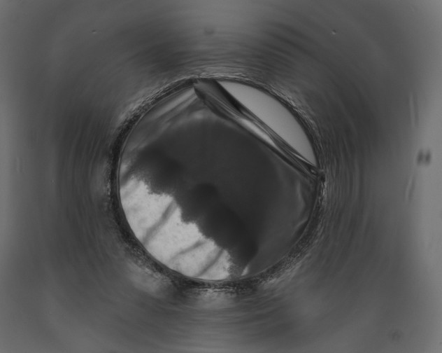 X0000088880303200707061416