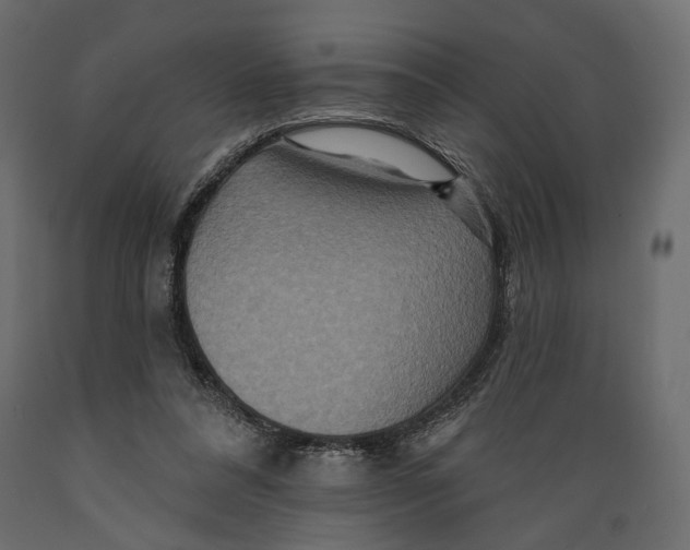 X0000088880304200707061416