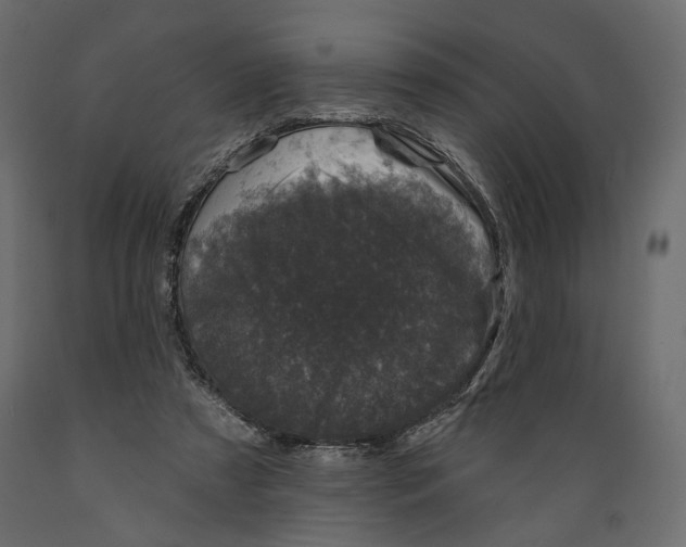 X0000088880305200707061416