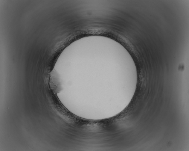 X0000088880307200707061416