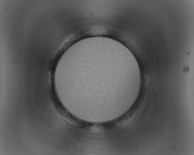 X0000088880308200707061416