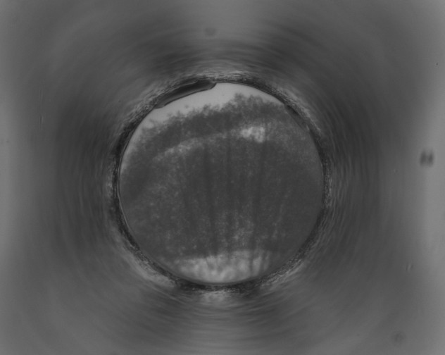X0000088880309200707061416