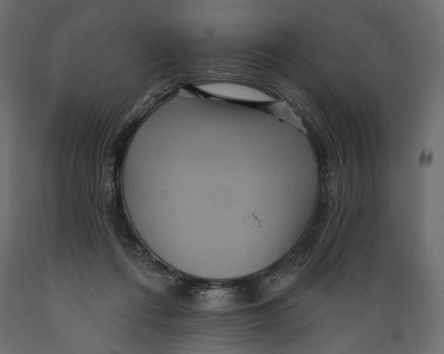 X0000088880312200707061416