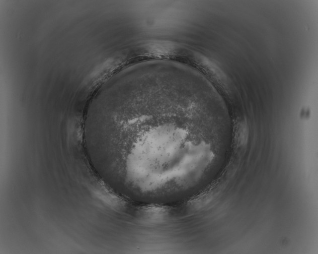 X0000088880313200707061416