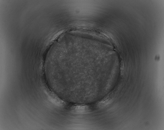 X0000088880314200707061416