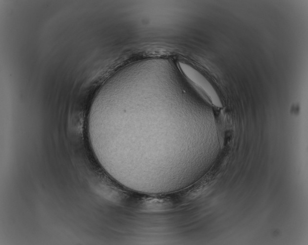 X0000088880315200707061416