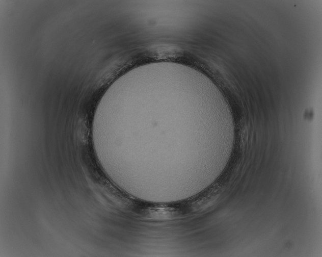 X0000088880316200707061416
