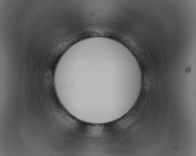 X0000088880318200707061416