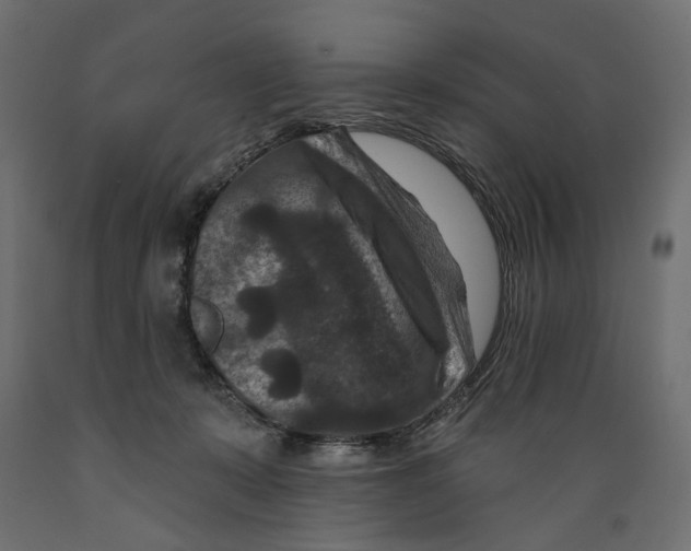X0000088880319200707061416