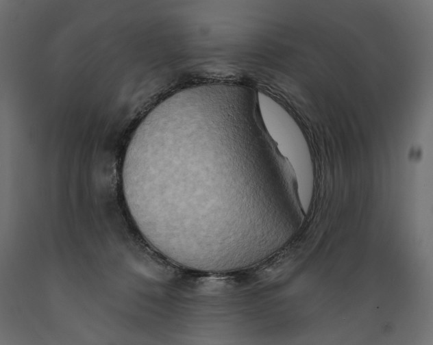 X0000088880320200707061416