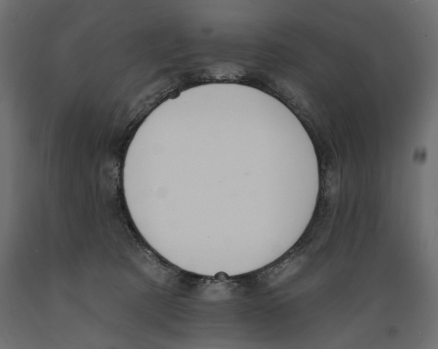 X0000088880321200707061416