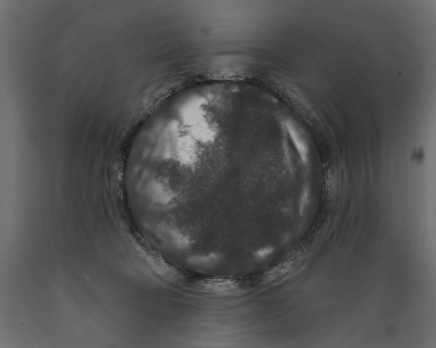 X0000088880322200707061416