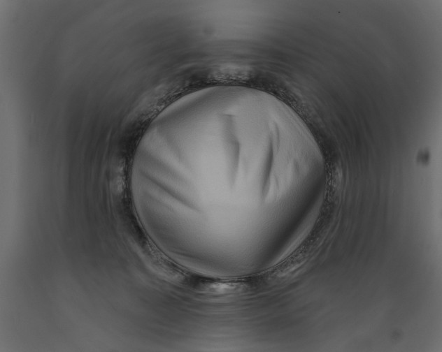 X0000088880323200707061416