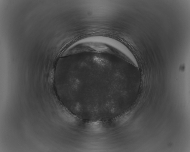 X0000088880325200707061416