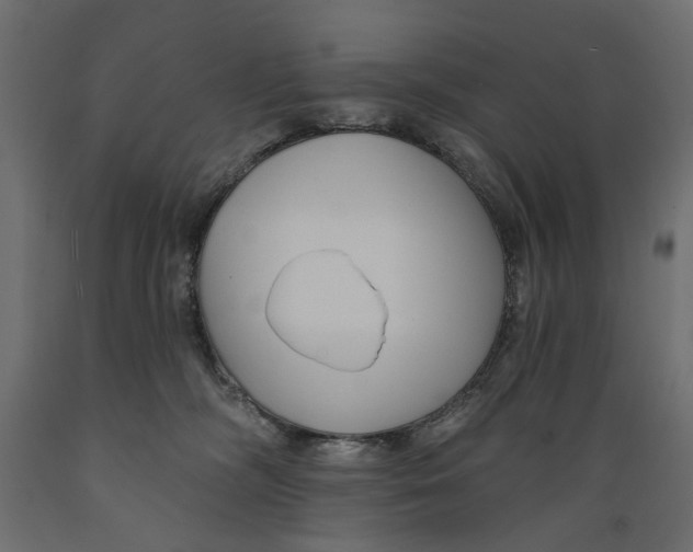 X0000088880326200707061416