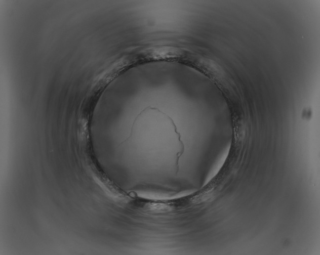 X0000088880327200707061416