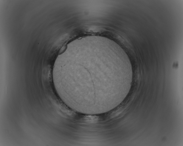 X0000088880328200707061416