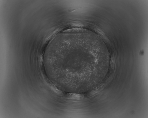 X0000088880330200707061415