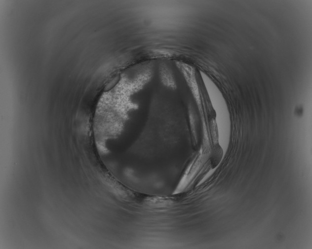 X0000088880331200707061415