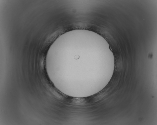 X0000088880334200707061415