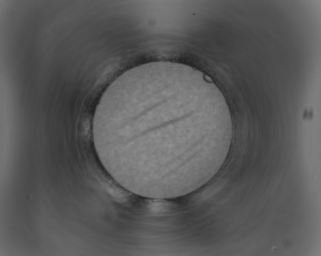 X0000088880336200707061415