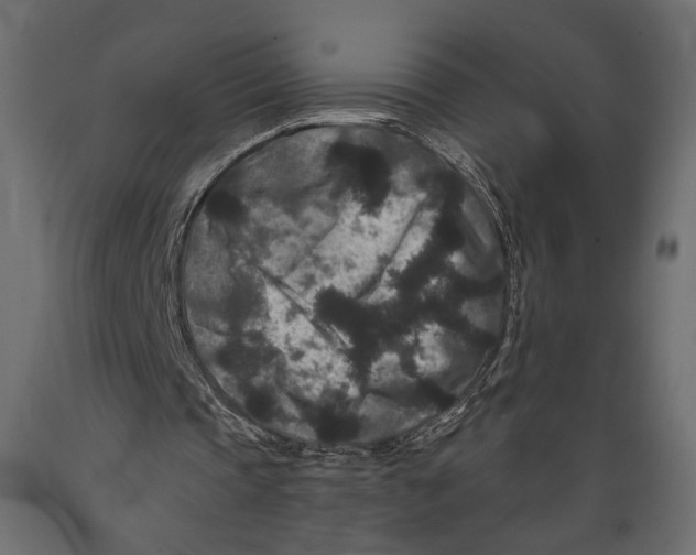 X0000088880337200707061415