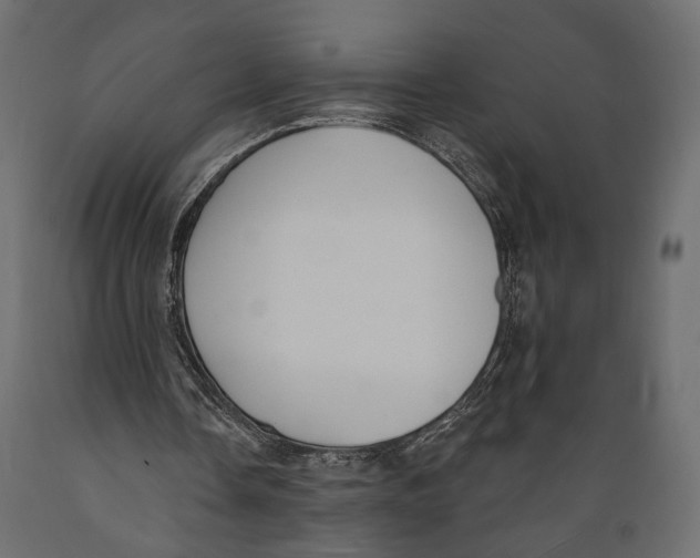 X0000088880338200707061415